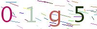 Verify Code