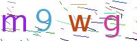 Verify Code