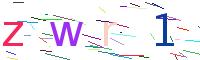 Verify Code