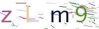 Verify Code