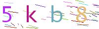 Verify Code