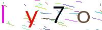 Verify Code