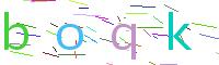 Verify Code